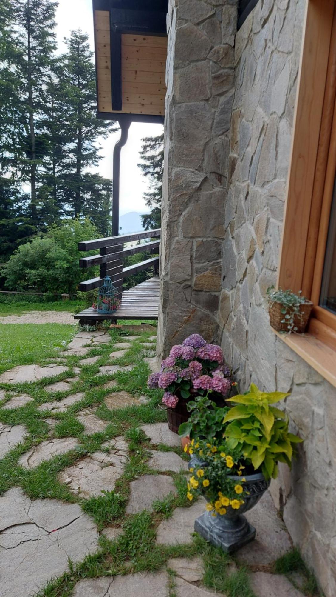 Rogla - Chalet Mojca Pokrajculja Zreče Zewnętrze zdjęcie