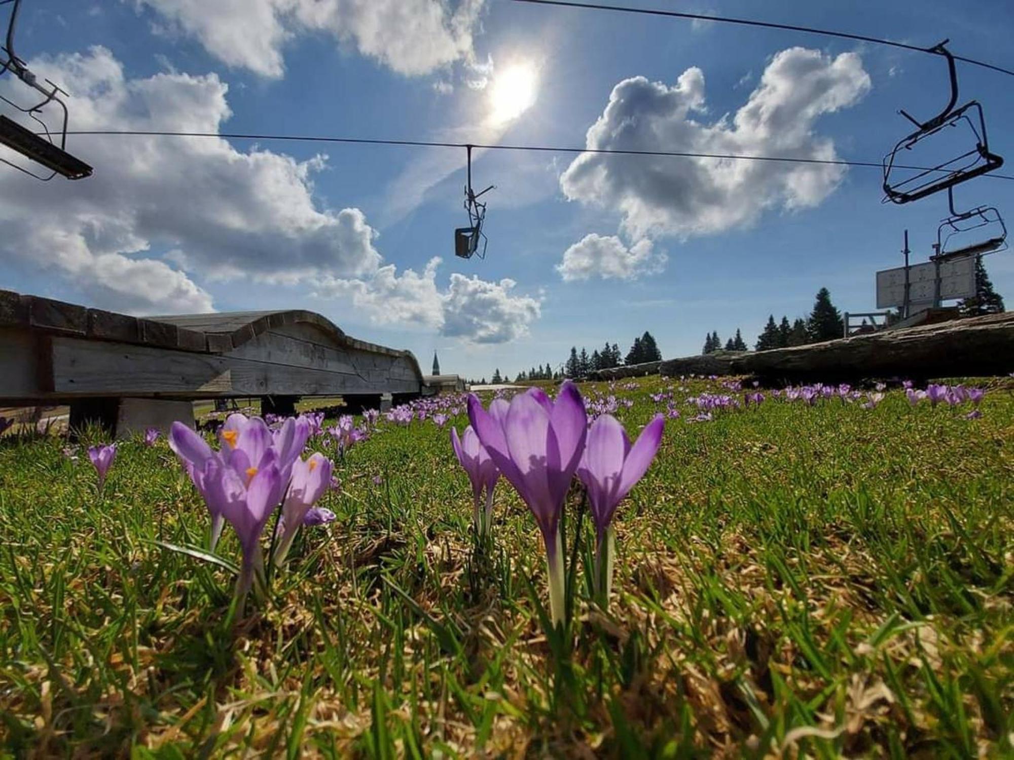 Rogla - Chalet Mojca Pokrajculja Zreče Zewnętrze zdjęcie
