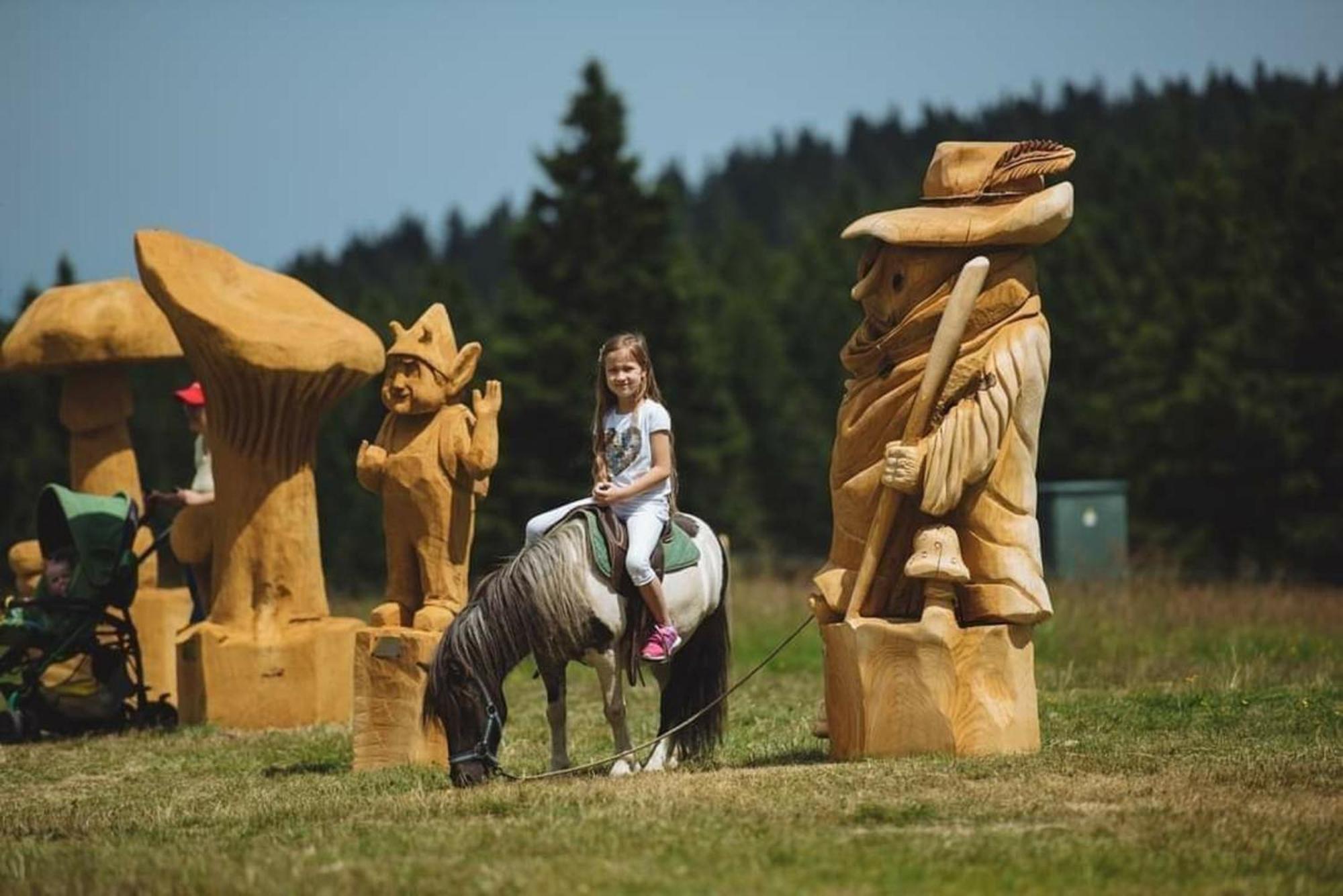 Rogla - Chalet Mojca Pokrajculja Zreče Zewnętrze zdjęcie
