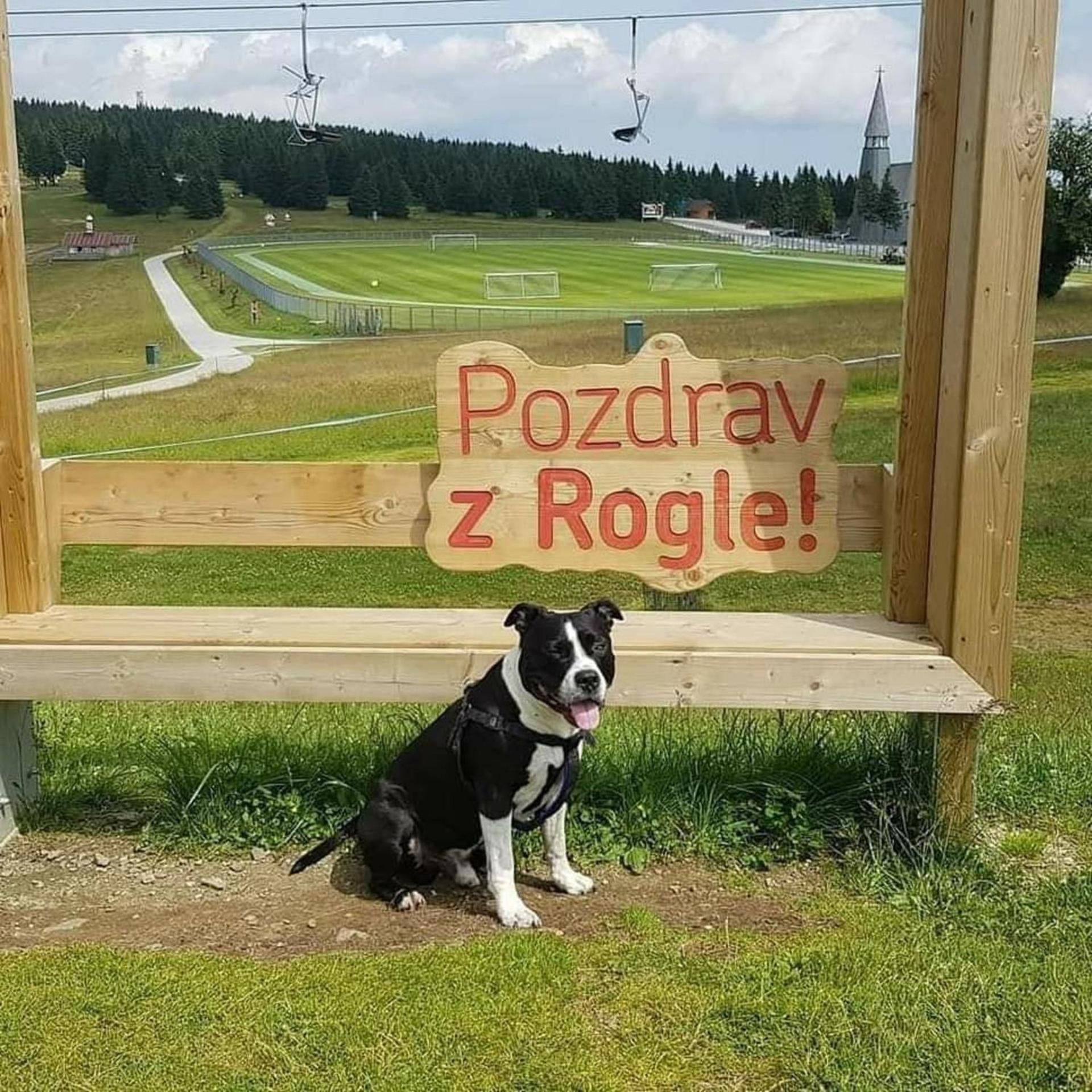 Rogla - Chalet Mojca Pokrajculja Zreče Zewnętrze zdjęcie