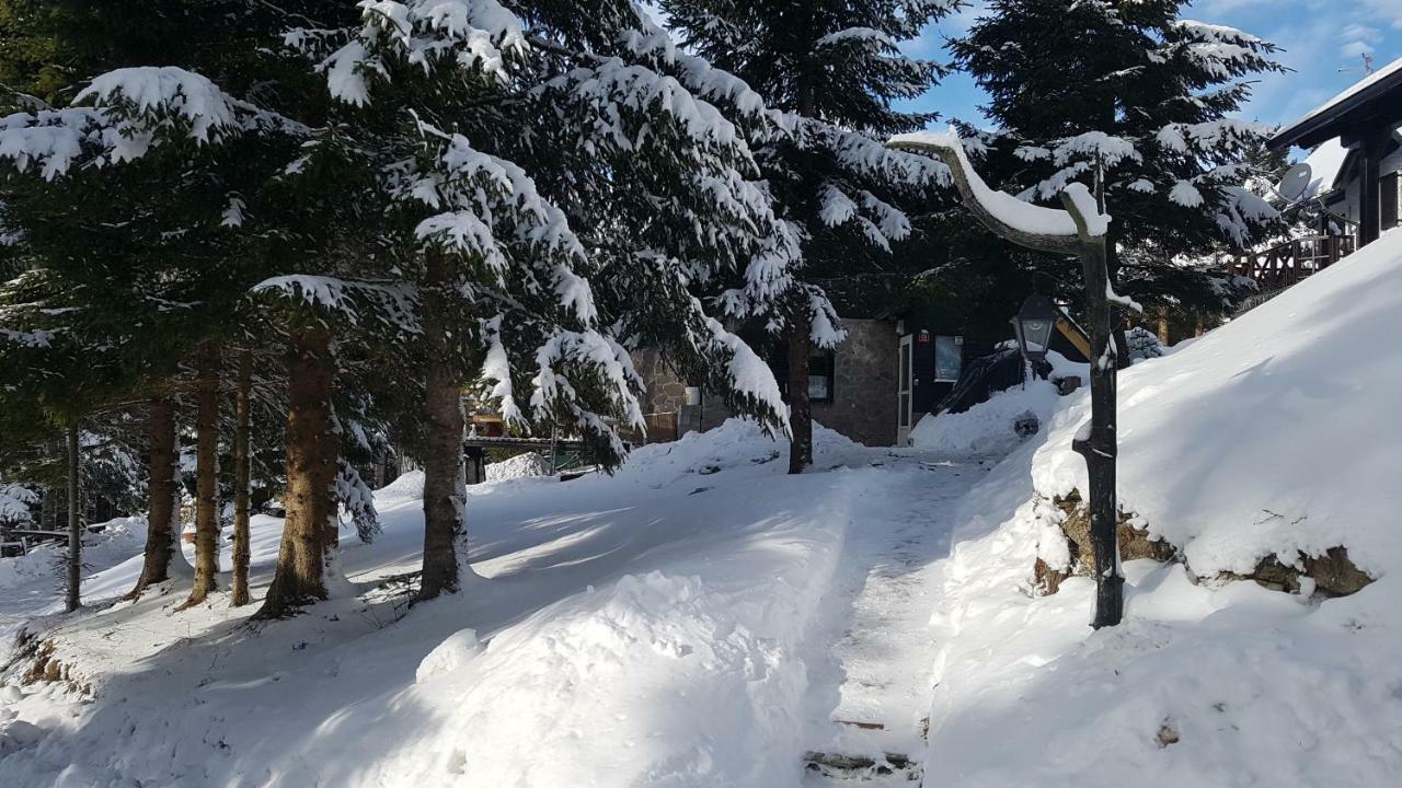 Rogla - Chalet Mojca Pokrajculja Zreče Zewnętrze zdjęcie
