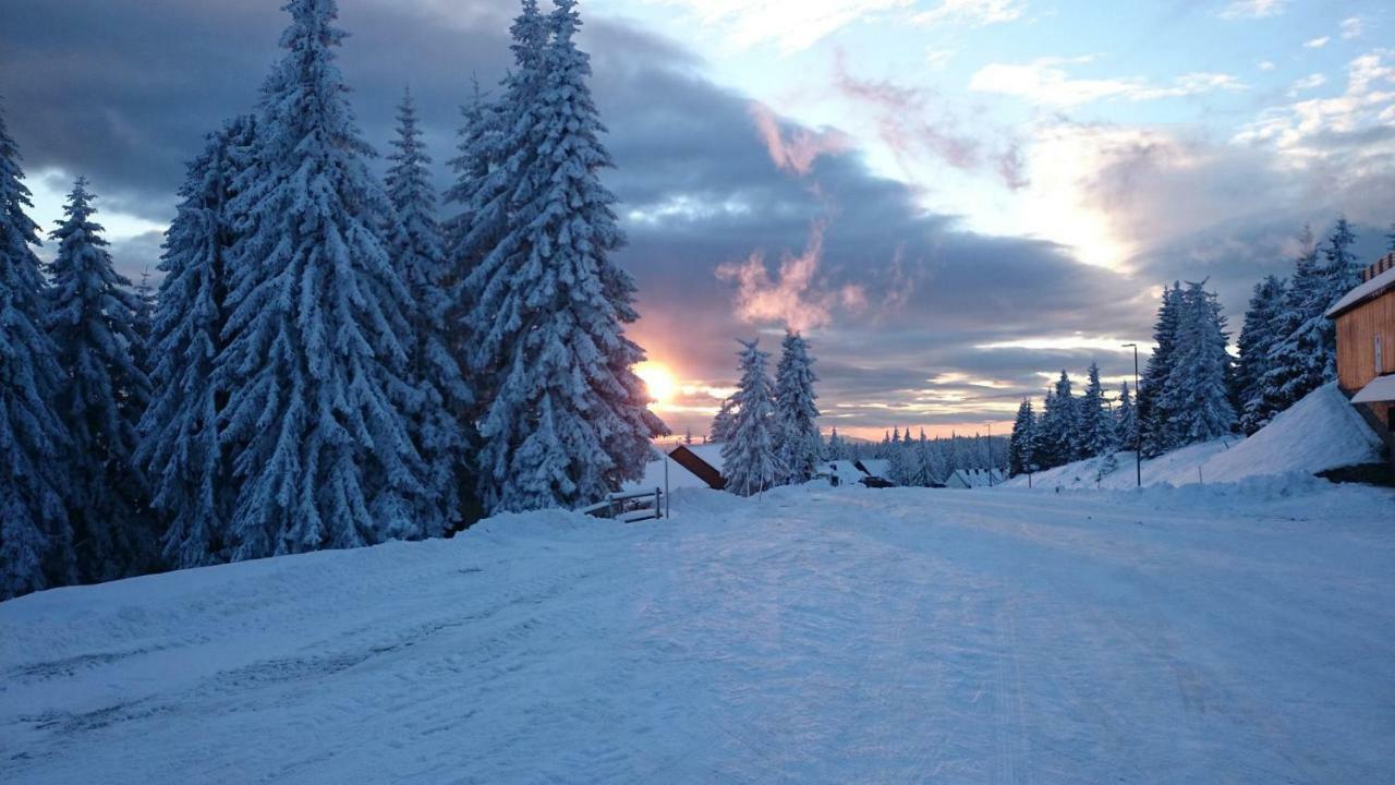 Rogla - Chalet Mojca Pokrajculja Zreče Zewnętrze zdjęcie