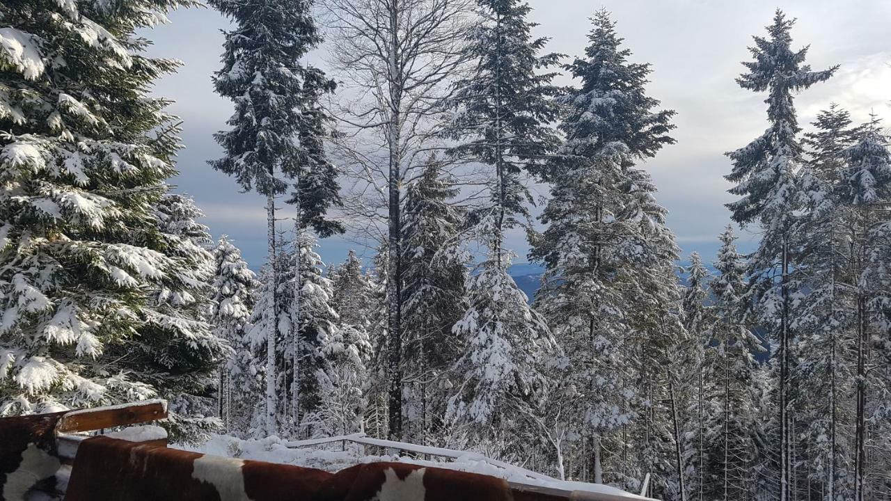 Rogla - Chalet Mojca Pokrajculja Zreče Zewnętrze zdjęcie