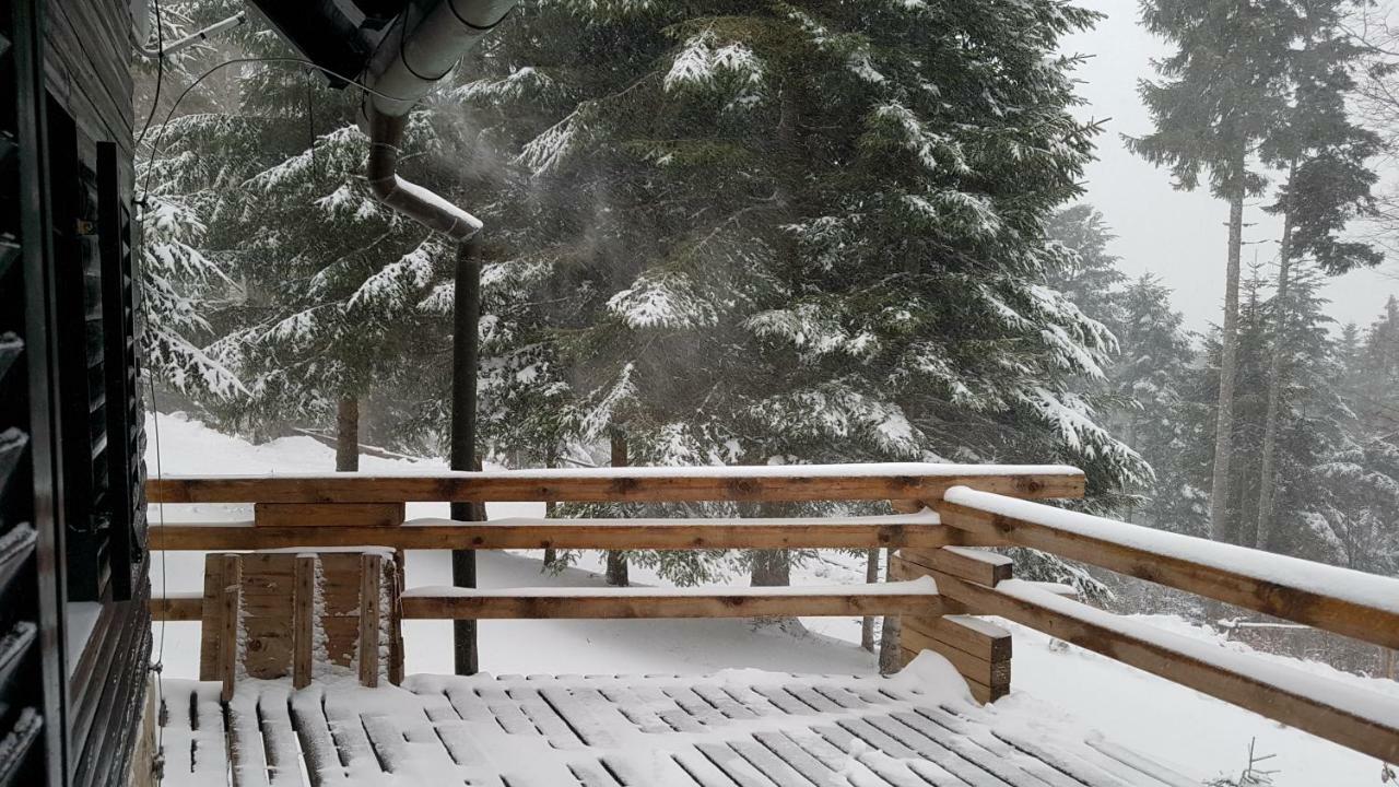 Rogla - Chalet Mojca Pokrajculja Zreče Zewnętrze zdjęcie