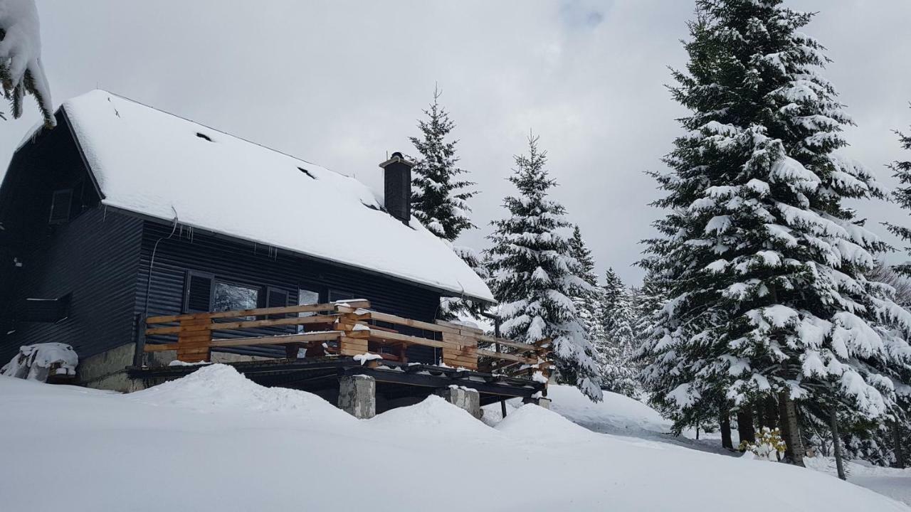 Rogla - Chalet Mojca Pokrajculja Zreče Zewnętrze zdjęcie