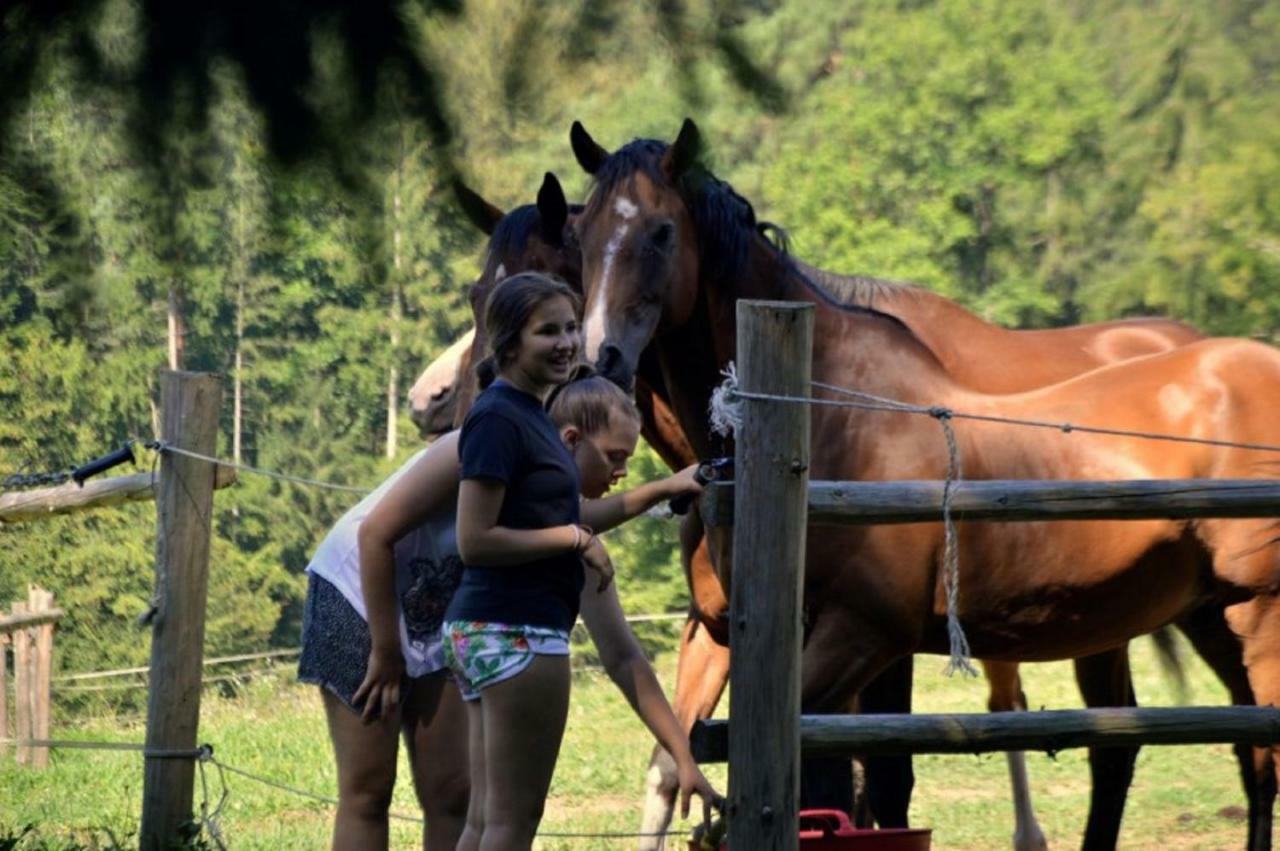 Rogla - Chalet Mojca Pokrajculja Zreče Zewnętrze zdjęcie